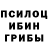 Галлюциногенные грибы GOLDEN TEACHER iop90