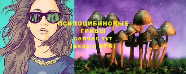 прущие крисы Абаза